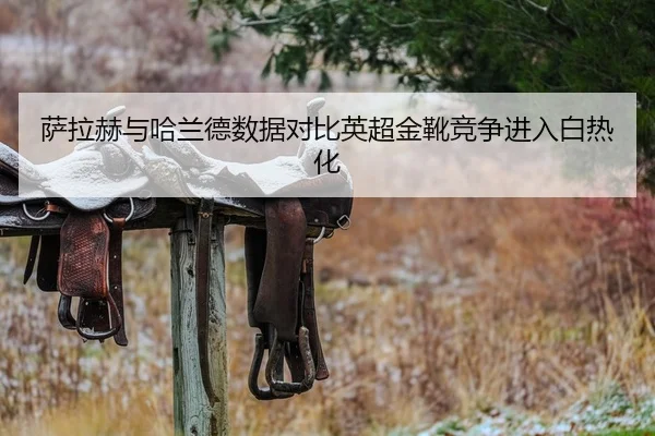 萨拉赫与哈兰德数据对比英超金靴竞争进入白热化